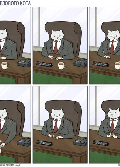 Business Cat обложка