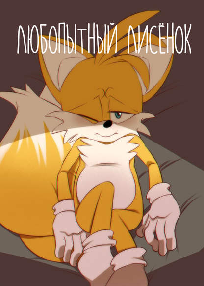 Curious Fox обложка