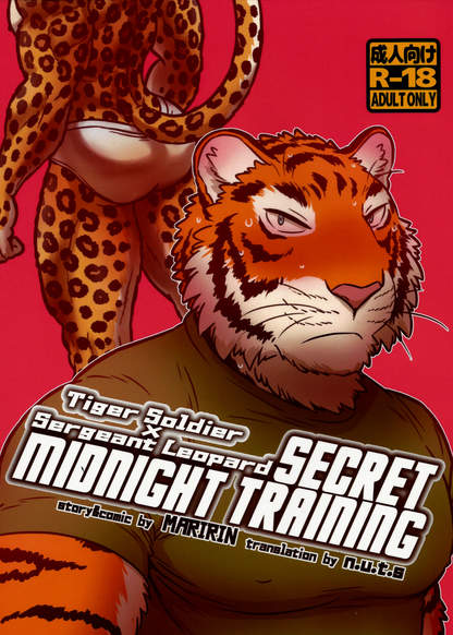Secret Midnight Training обложка