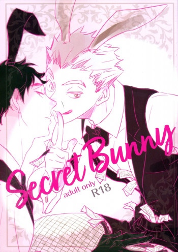 Haikyu!! dj - Secret Bunny обложка