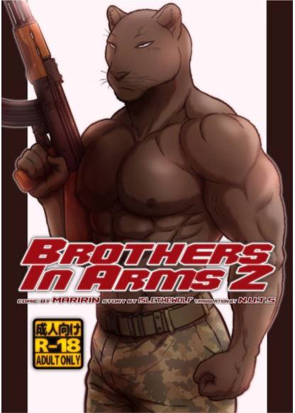 Brothers in Arms 2 обложка